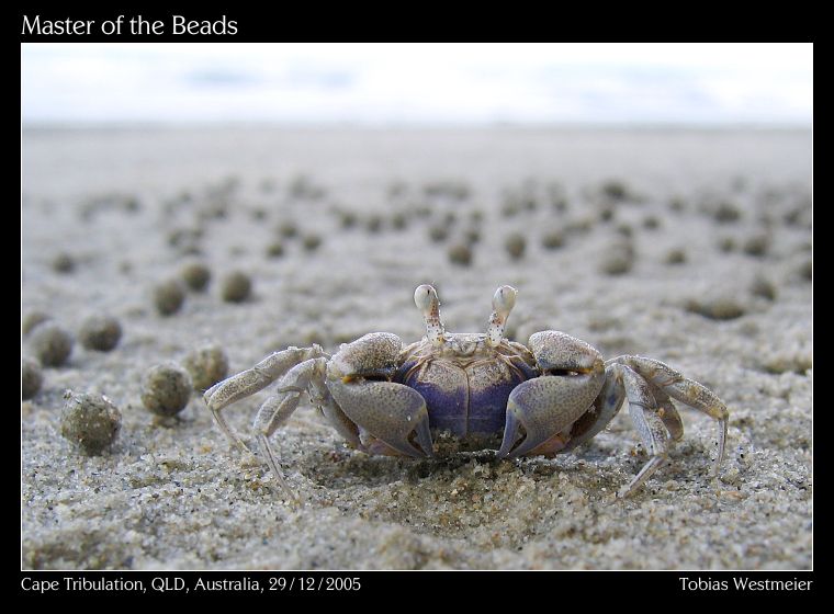 Master of the Beads