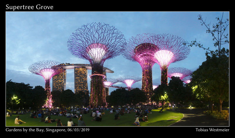 Supertree Grove, Gardens by the Bay, Singapore