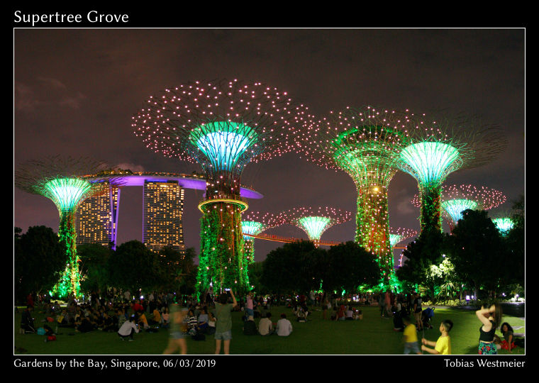 Supertree Grove, Gardens by the Bay, Singapore