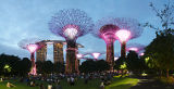 Supertree Grove, Gardens by the Bay, Singapore