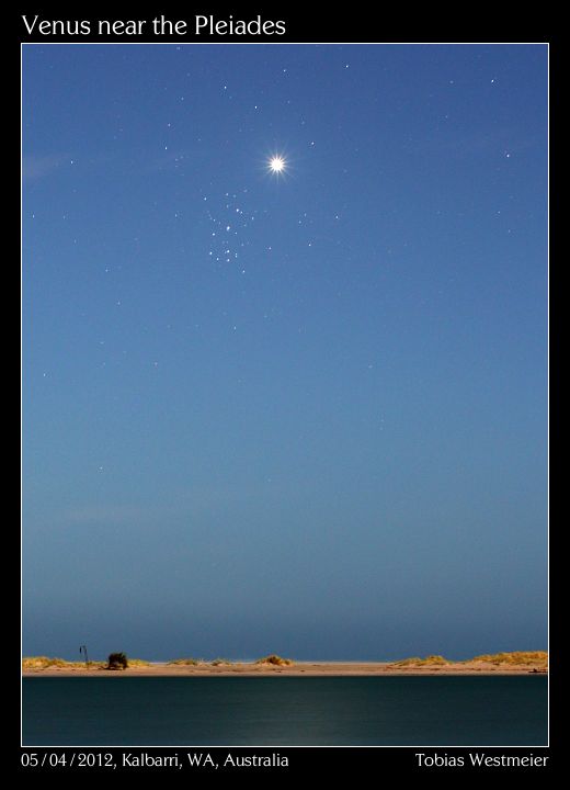 Venus near the Pleiades