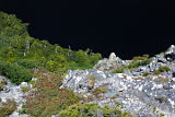 Crater Lake, Cradle Mountain–Lake St Clair National Park, Tasmania