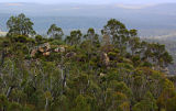 Darling Scarp