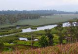 Eubenangee Swamp National Park