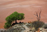 Lake Ballard