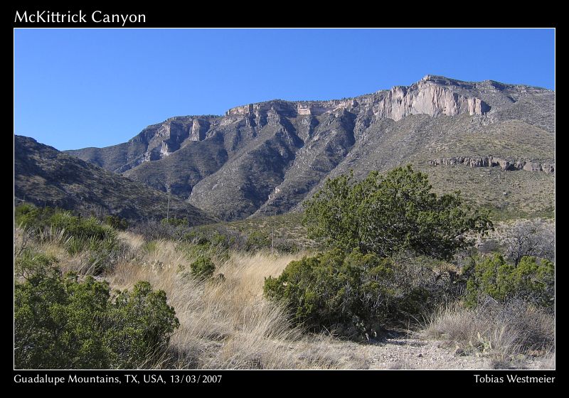 McKittrick Canyon, Guadalupe Mountains