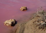 Pink Lake
