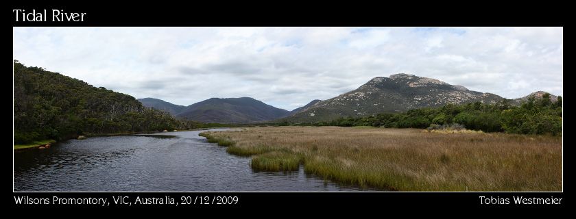 Tidal River