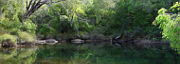 Wellington National Park