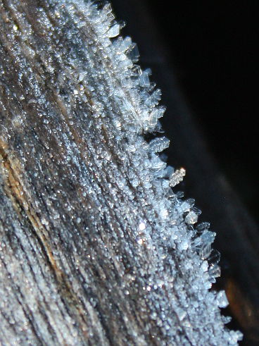 Winter frost Winter frost