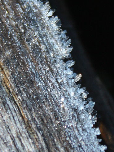 Winter frost