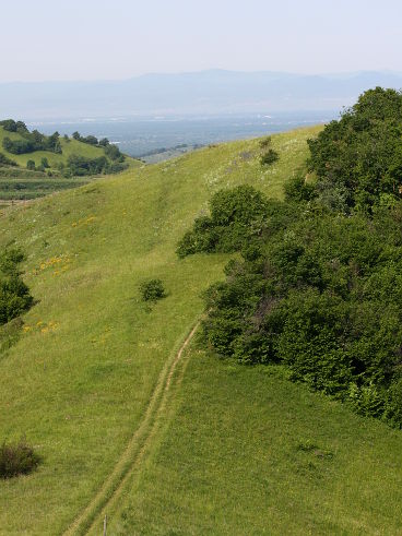 Badberg Nature Reserve