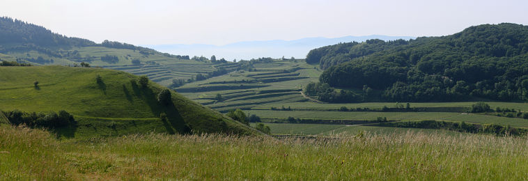 Panorama of the central Kaiserstuhl