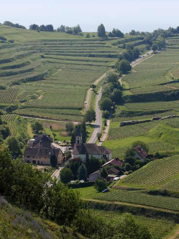 Altvogtsburg Altvogtsburg