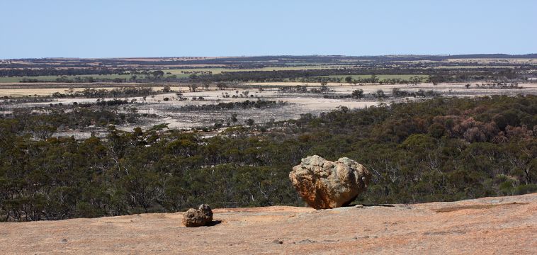 Wave Rock, Hyden