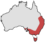 Range of Calochilus campestris