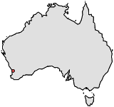 Range of Paracaleana gracilicordata