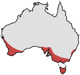 Range of Pyrorchis nigricans