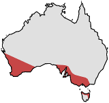 Range of Thelymitra antennifera