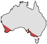 Range of Thelymitra benthamiana