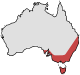 Range of Thelymitra ixioides