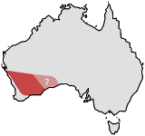 Range of Thelymitra petrophila